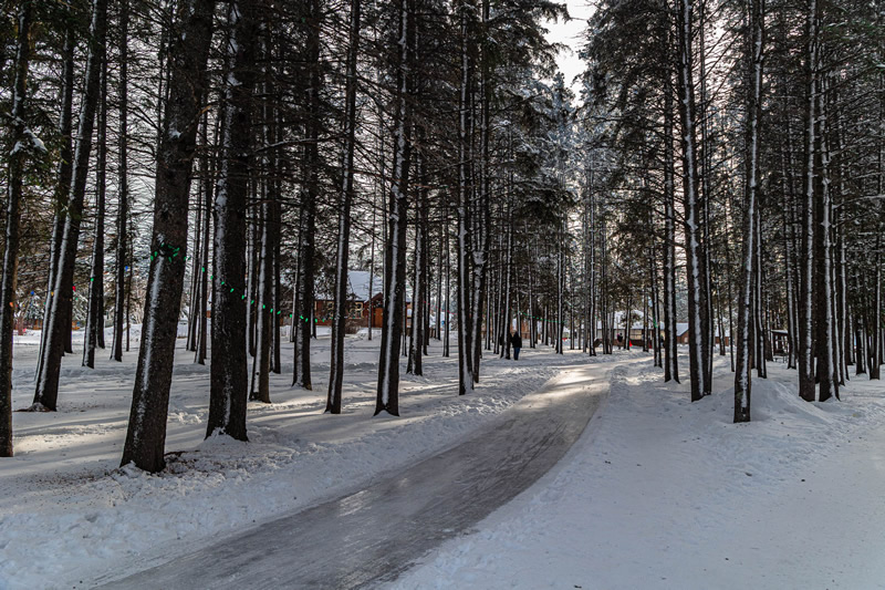 Ice Trail by Stino Scaletta